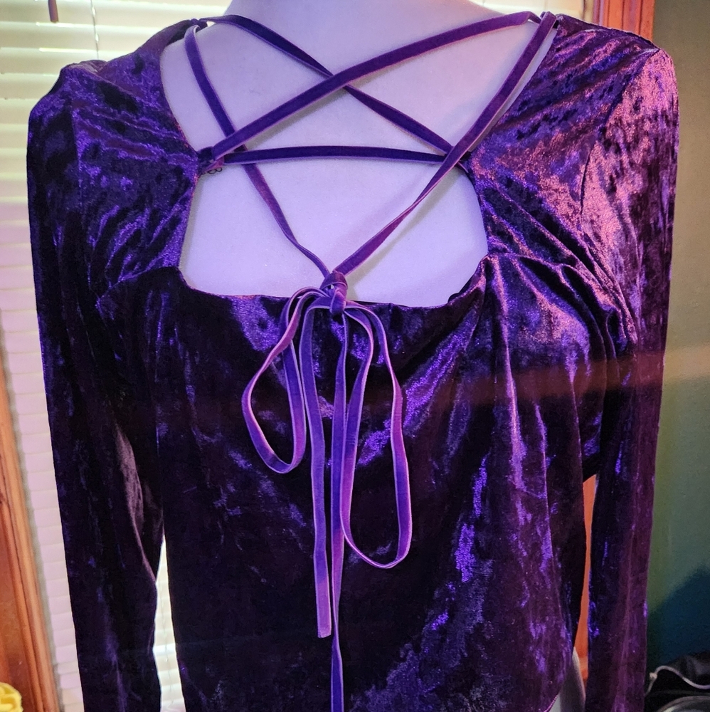Purple Velvet Long Sleeve Top